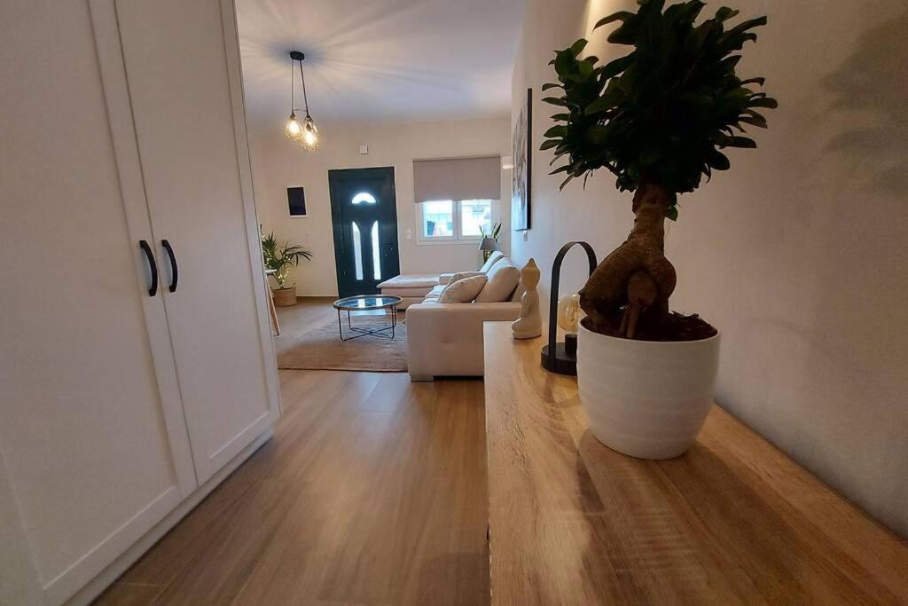 Kanálion Kentia Fine Living Apartment מראה חיצוני תמונה